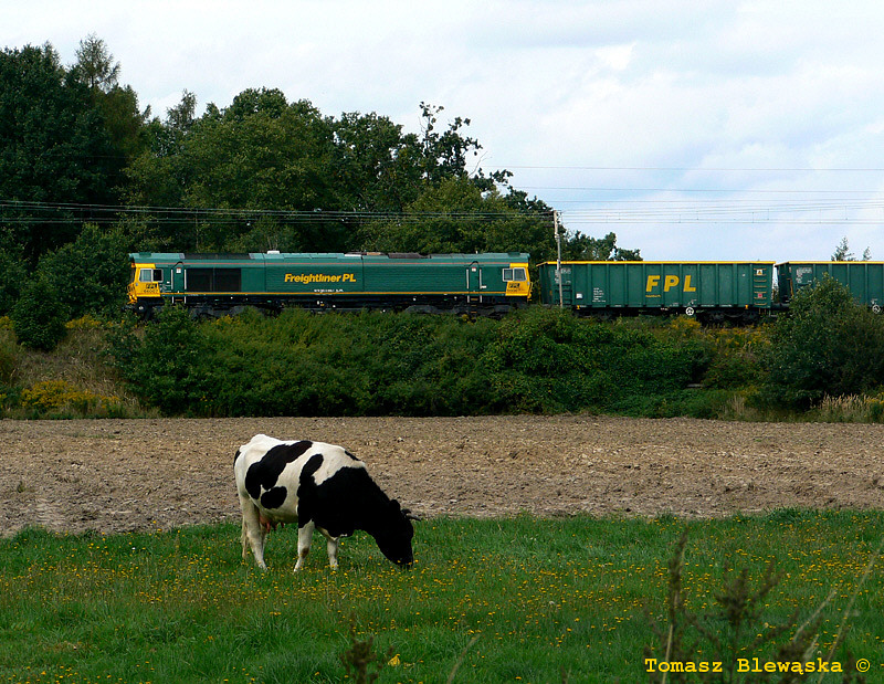 Class 66007