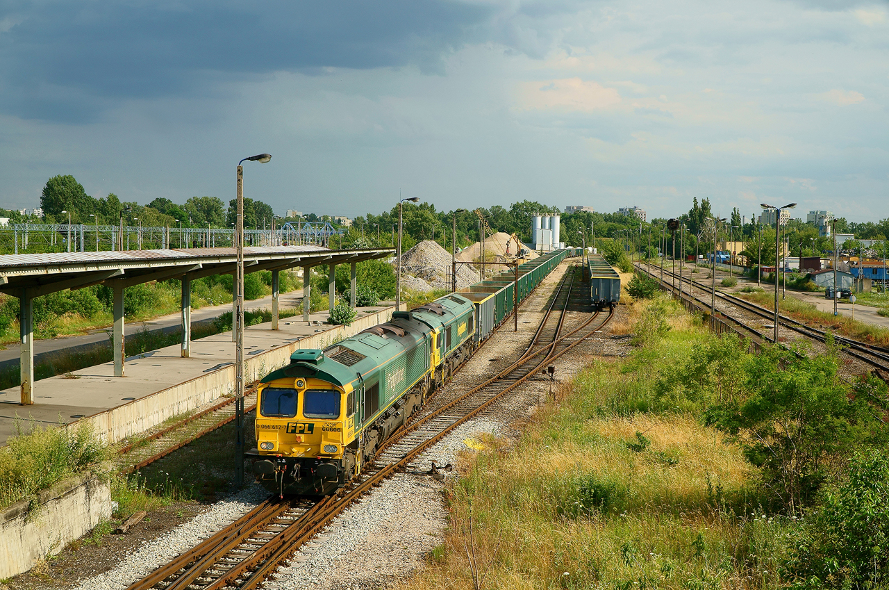 Dwa szerszenie w upale