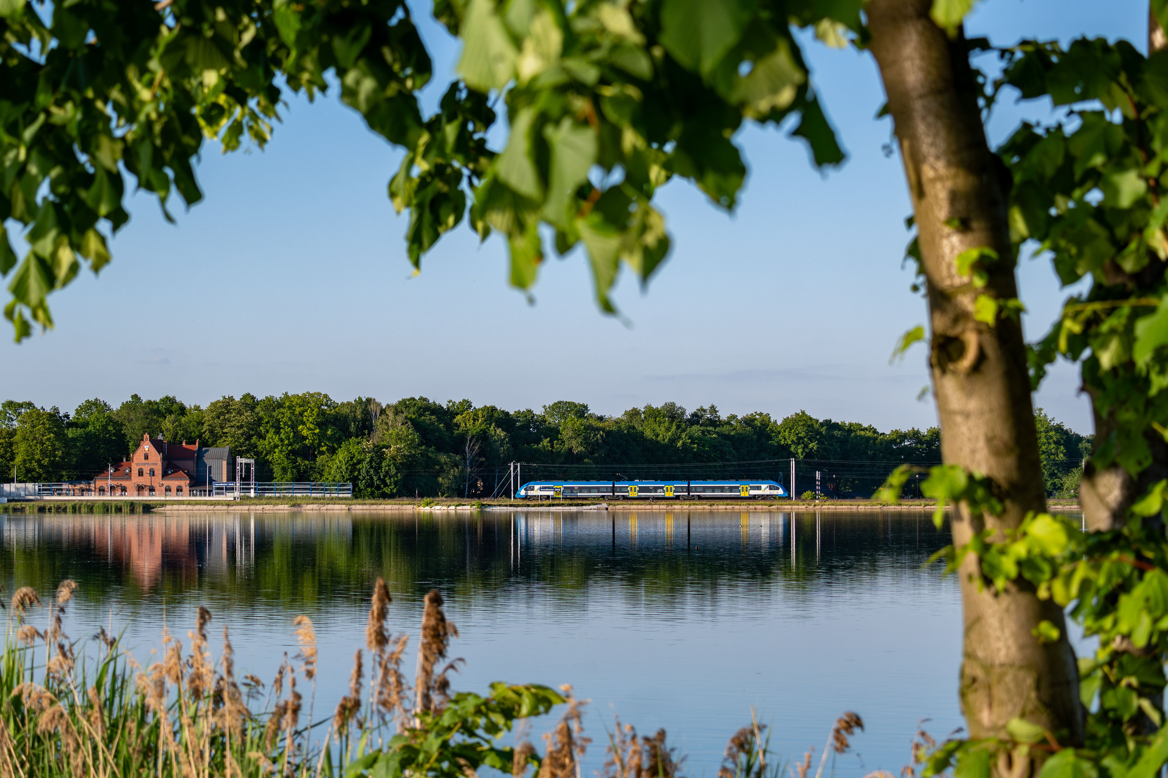 Strzał w dziesiątkę
