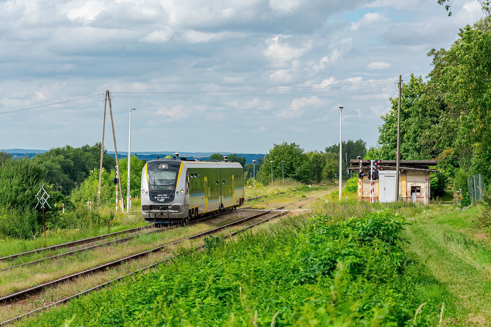 Szerszeniem na południe