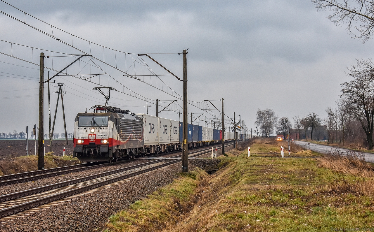 Orzełek w Chełmcach.