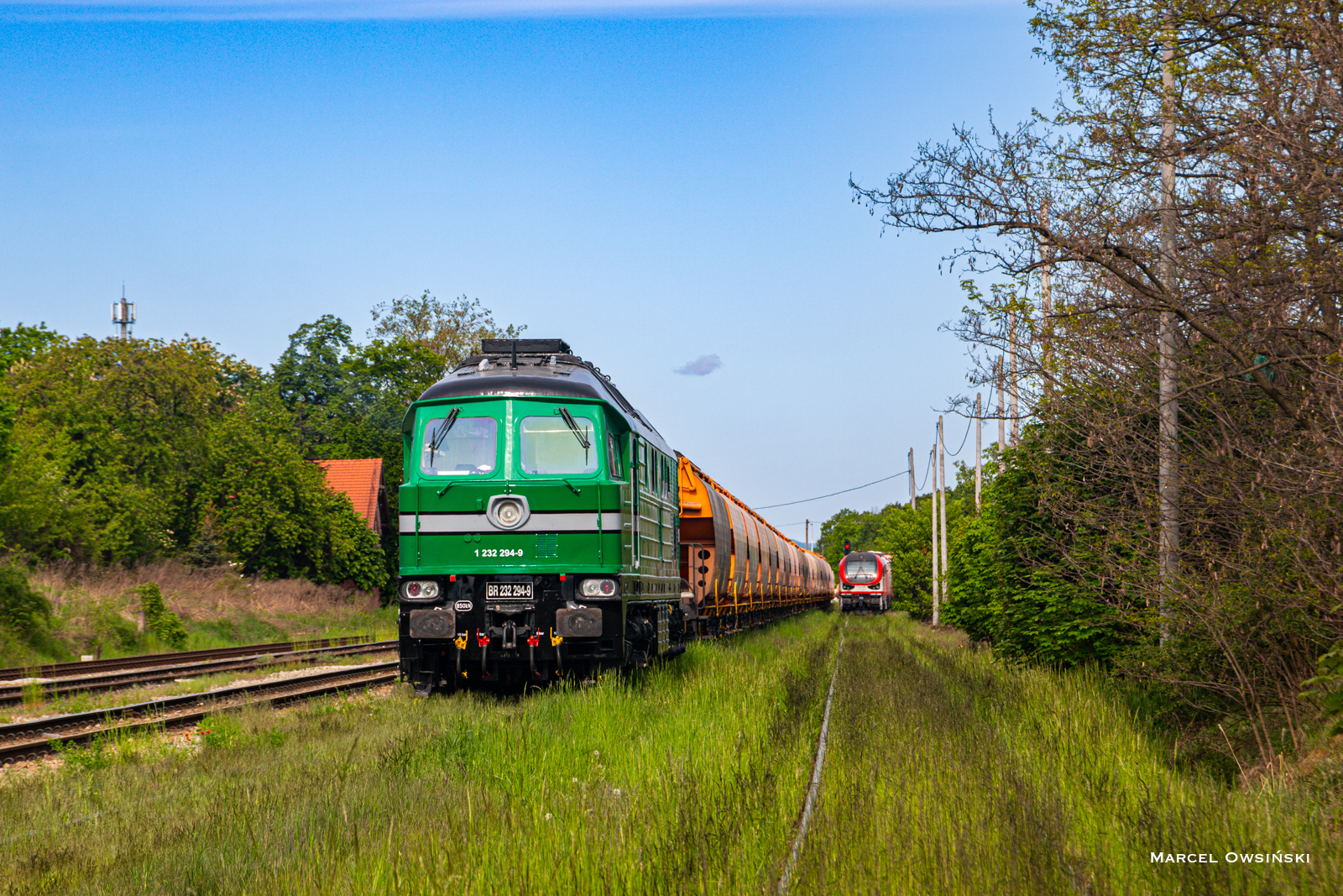 Olavion w Rogoźnicy