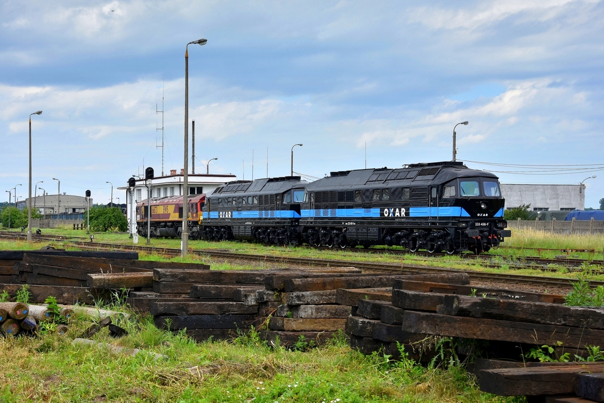 Świeżutkie Ludmiły