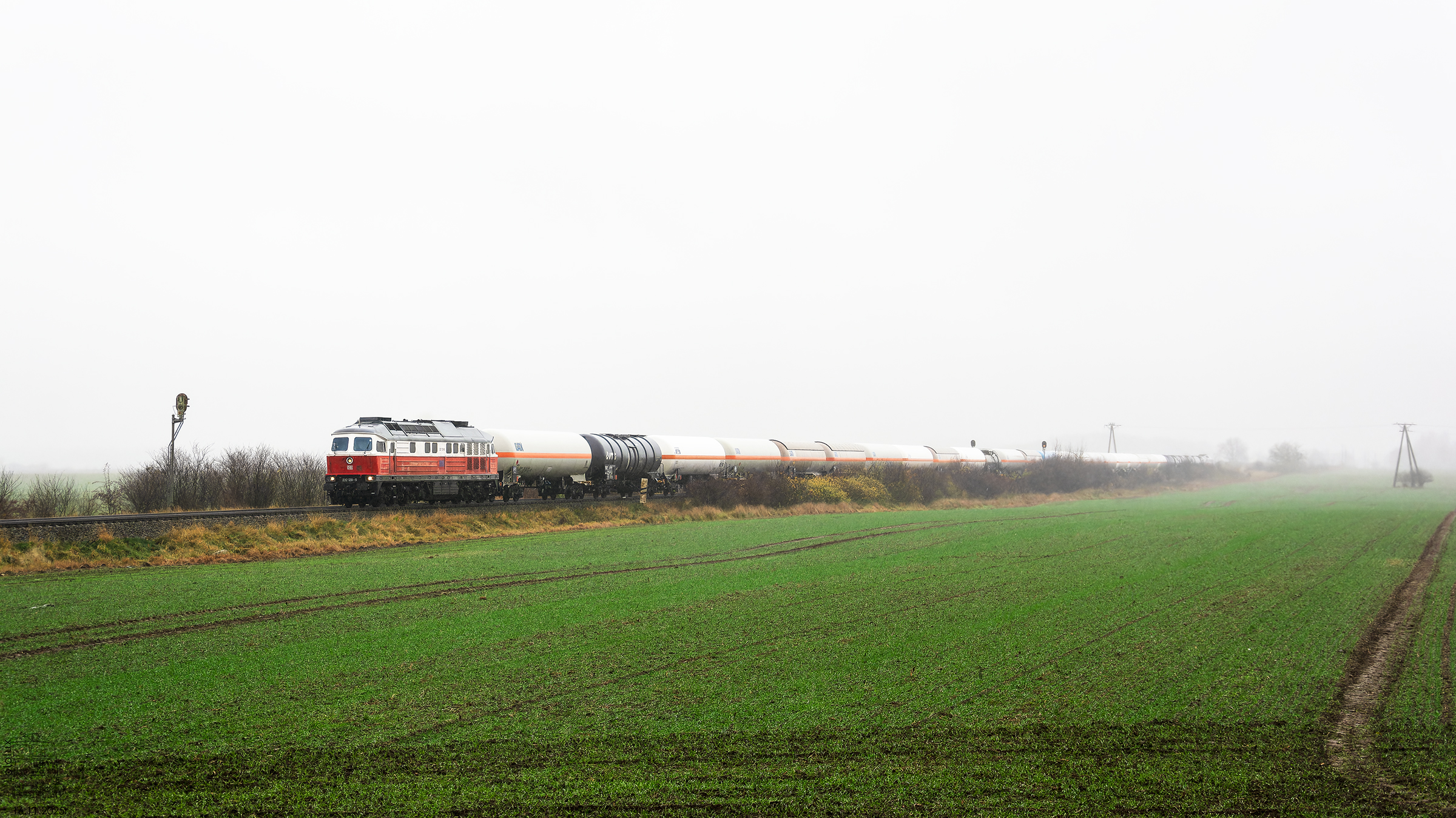 Mglista przyszłość ludmił