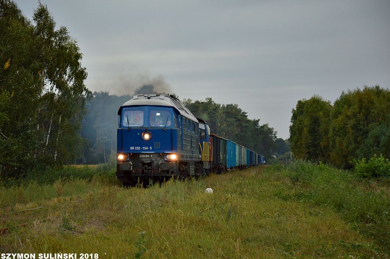 BR232-154 i SM42-2494 Depolu w Borkowie Kościelnym
