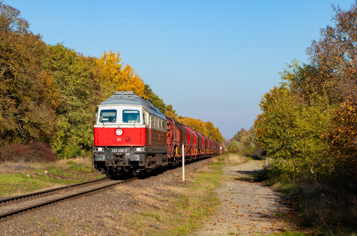 Jesienna ludmiła na D29-409