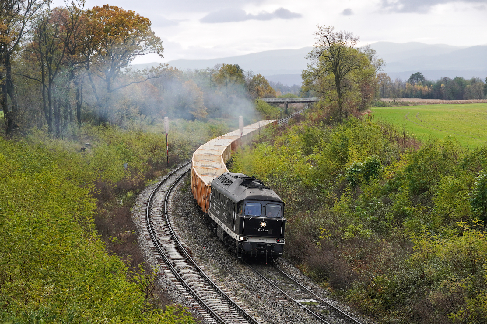"Dolata" piechotą będę szła