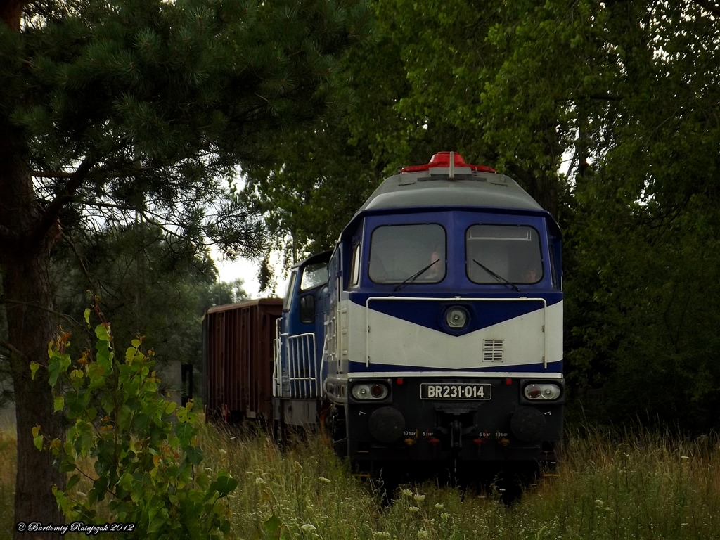 BR231-014