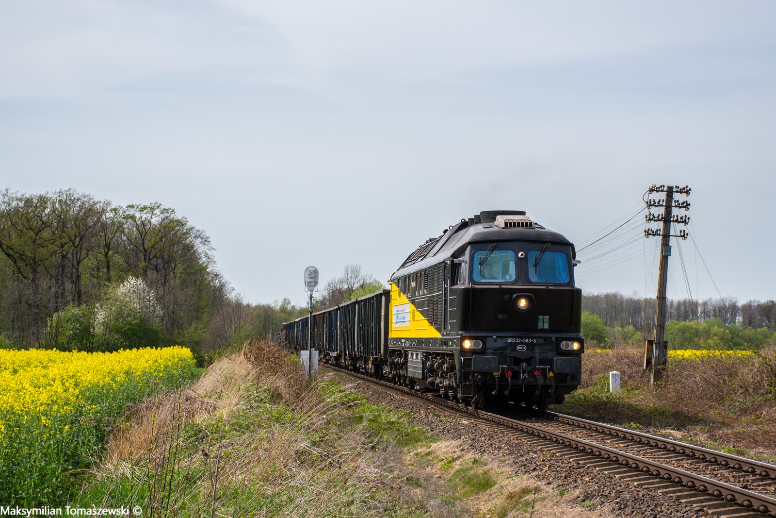 Ludmiła na wiosennej podsudeckiej