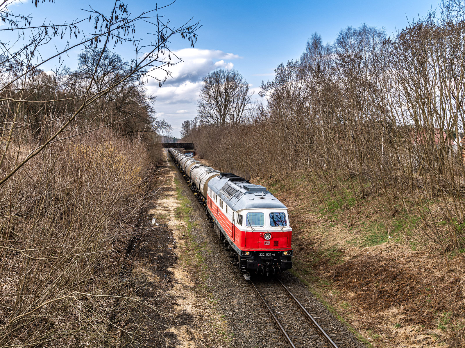 Ludmiła DB w Polsce