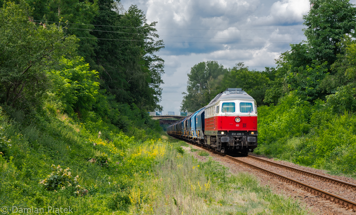Biało-czerwona Ludmiła na "czternastce"