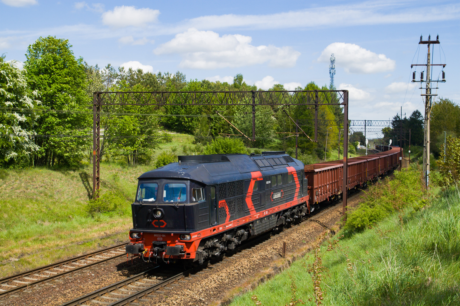 Ludmiła z węglarkami