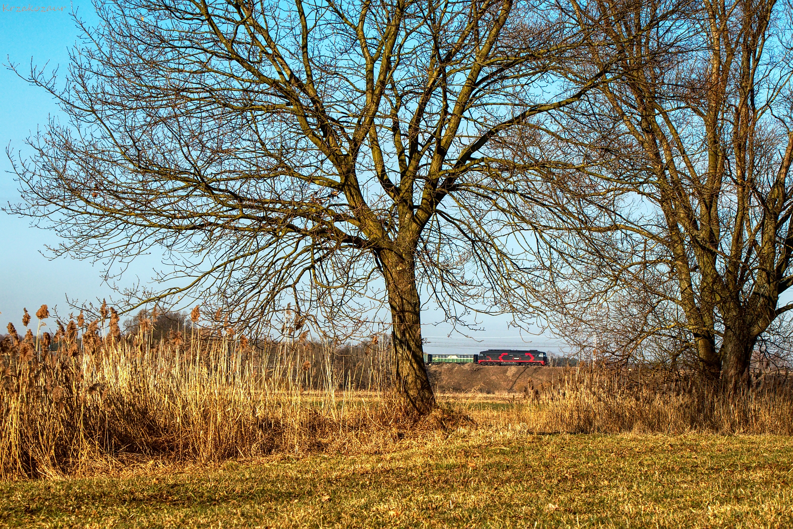 Na tory zawsze jest po drodze