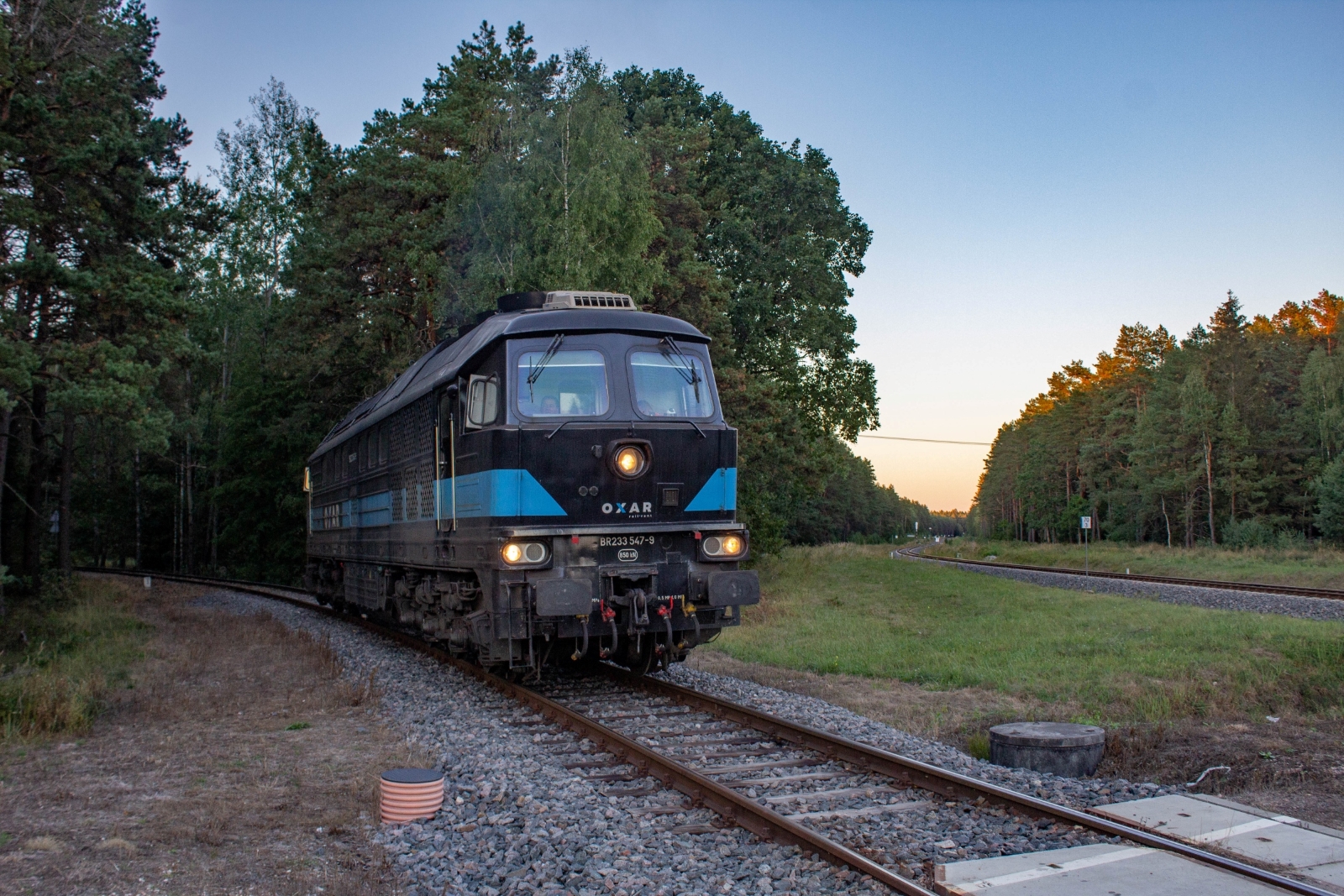 Ludmiła na Quercusie