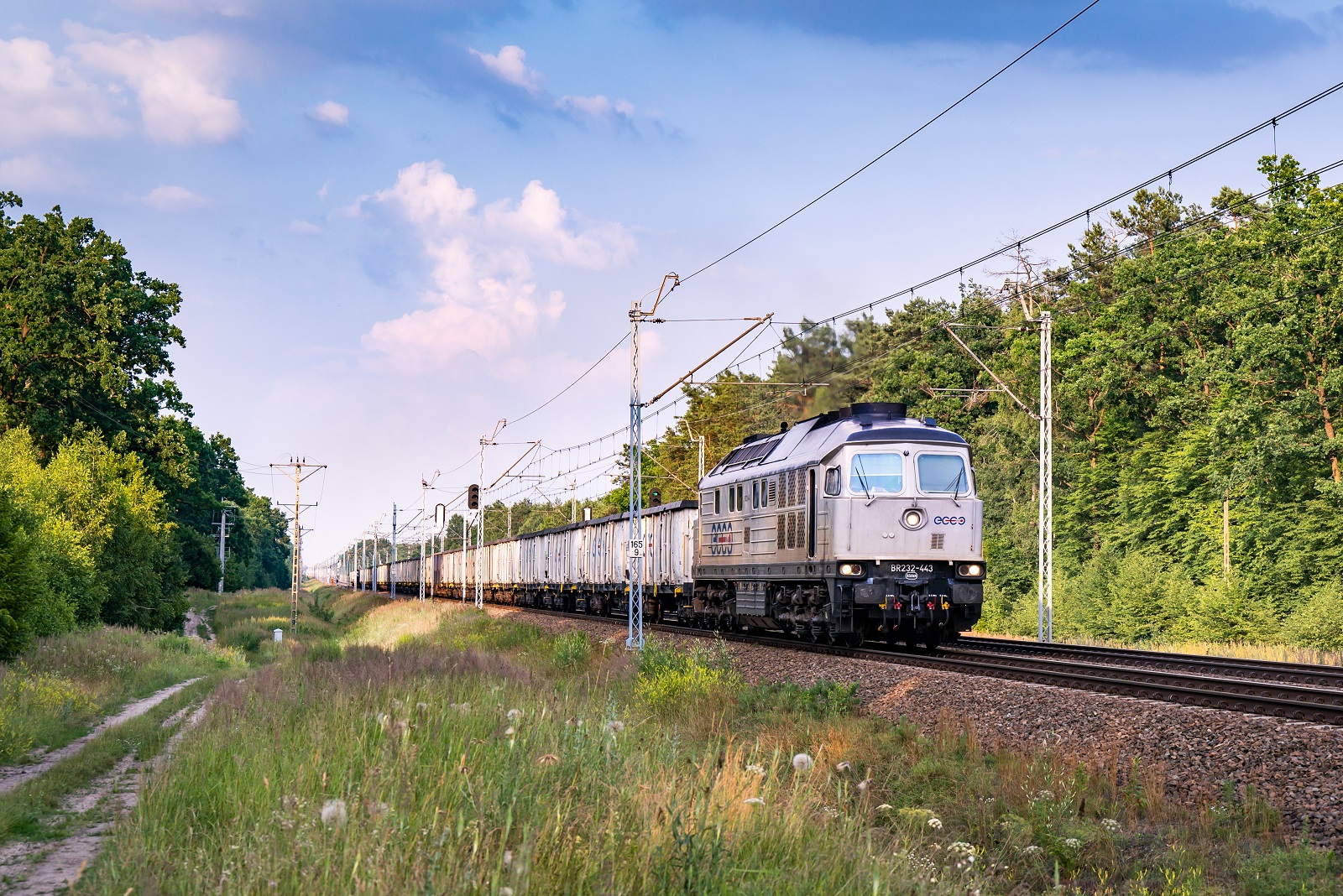 Ludmiła w letni wieczór