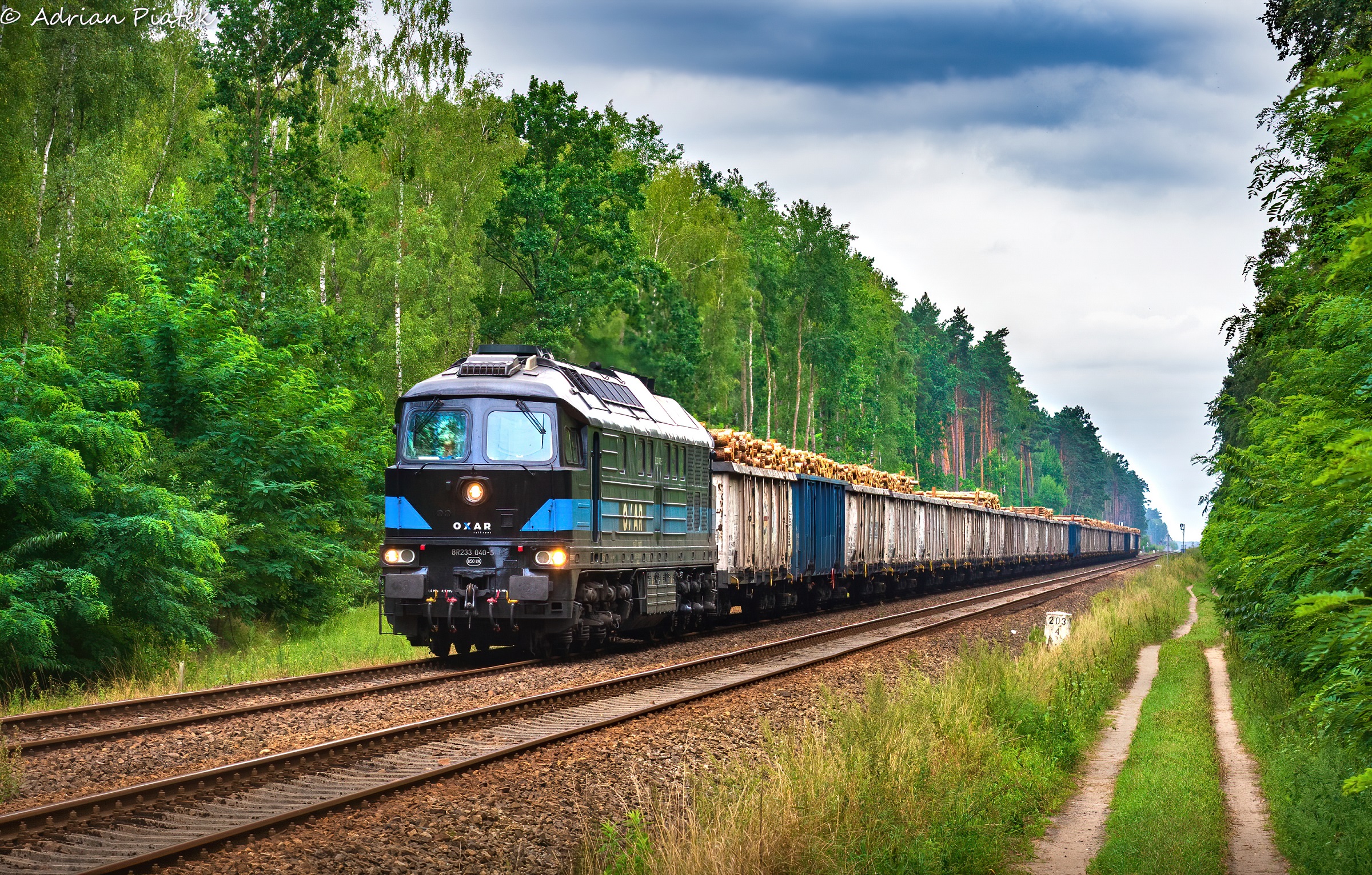 Ludmiła w gęstwinie