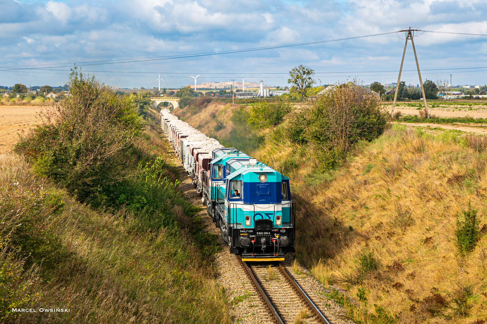 Duet kozłów z "wahadełkiem"