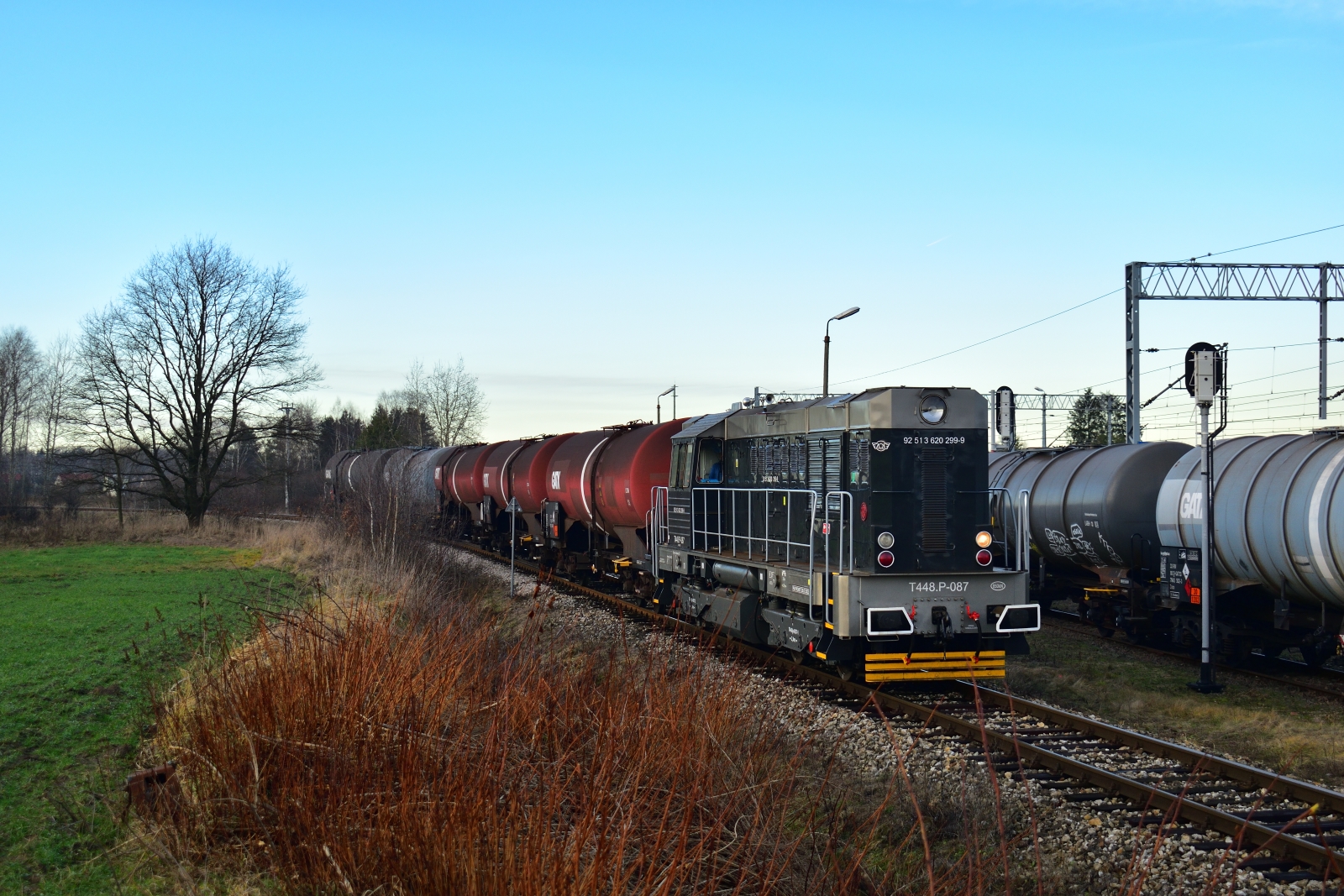 Czarny kozioł na PERNie