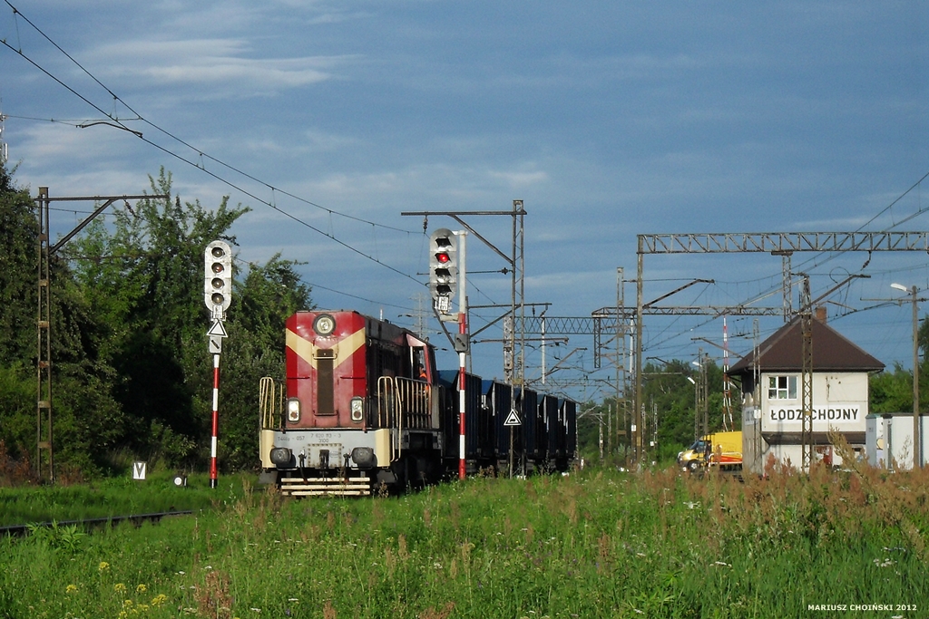 Koziołek w Łodzi - 1