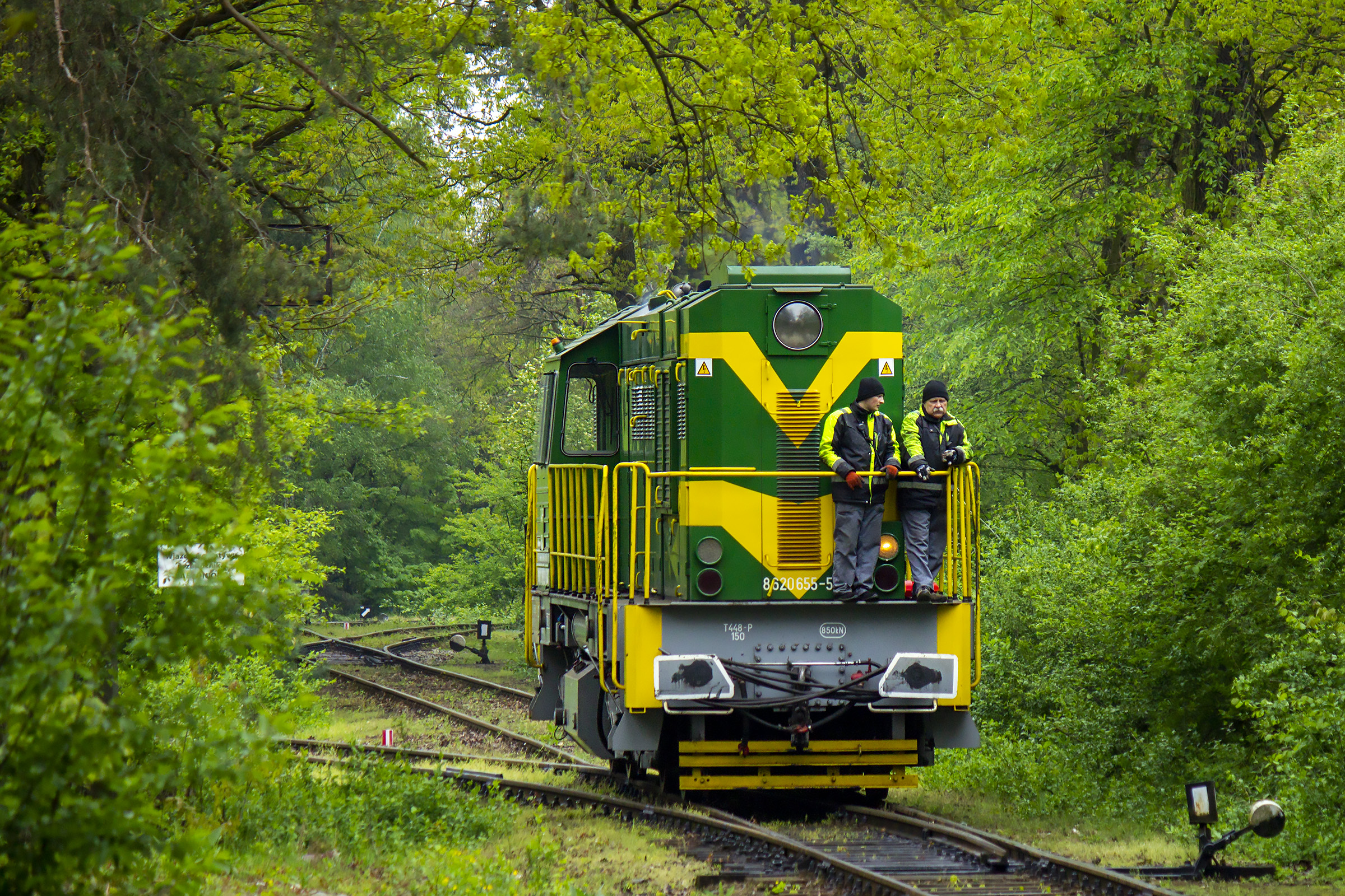Tribjut tó Krzakozaur