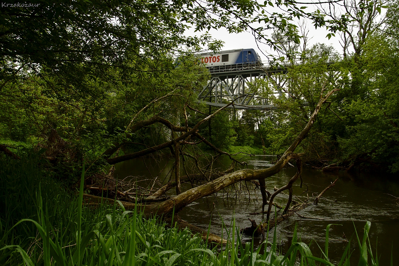 Krzakozaurowe Eldorado