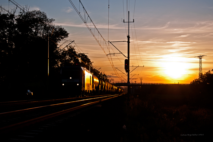 Kwiat Lotosu w Blasku Zachodzącego Słońca