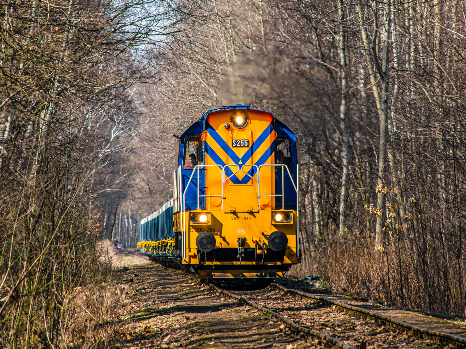 Trzmiel Kolprem-u na WMH