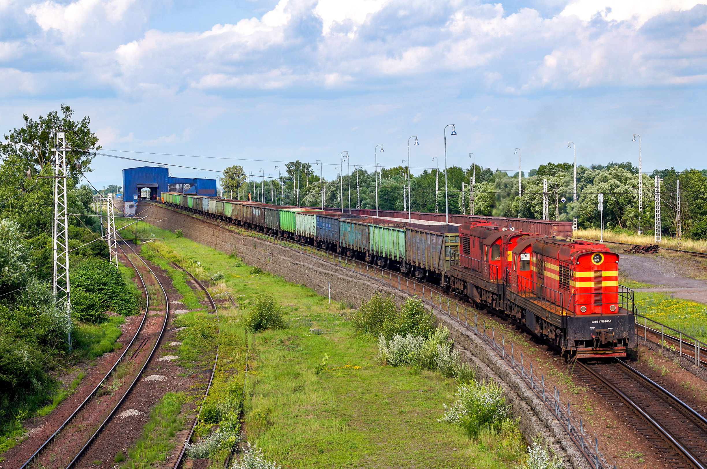 Trzmielaki zjeżdżają do zsypni