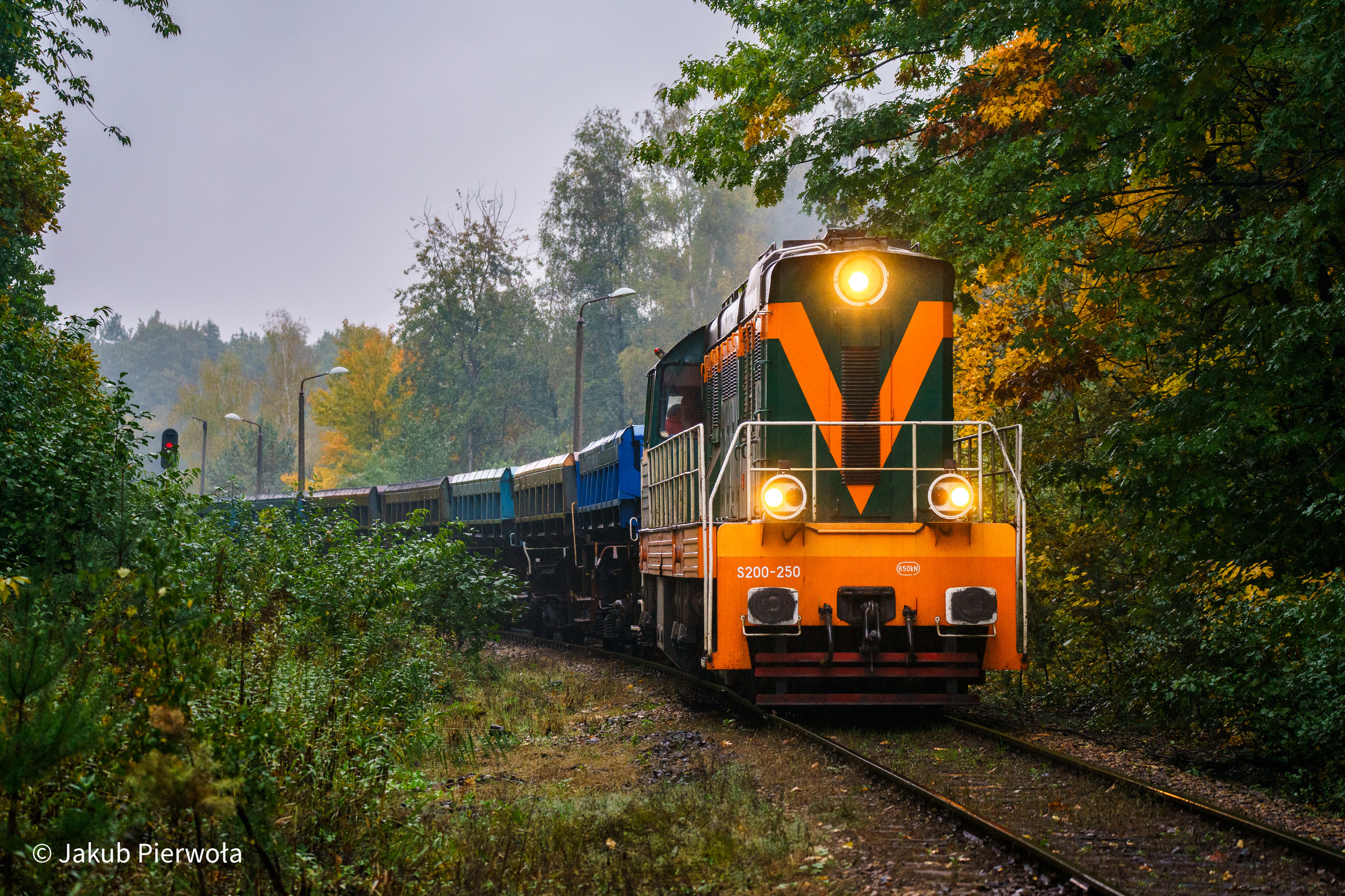 Jesienna S250