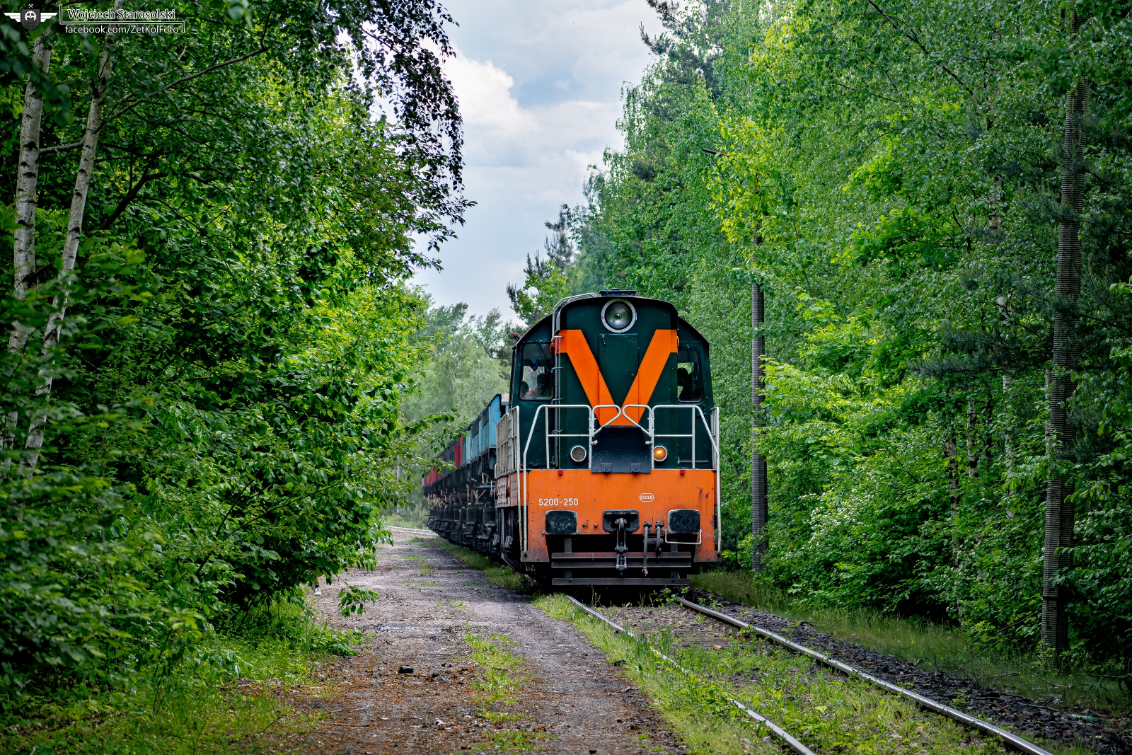 Szczygłowicka gwiazda