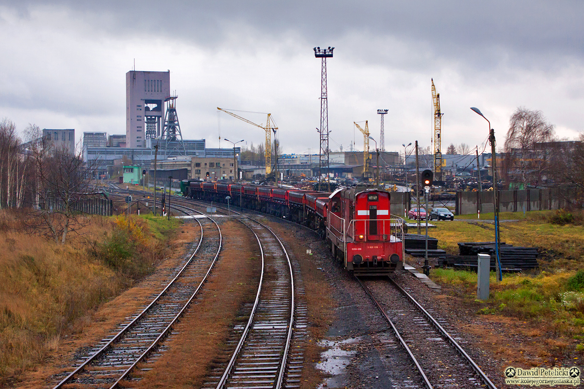 Esa w naturalnym środowisku