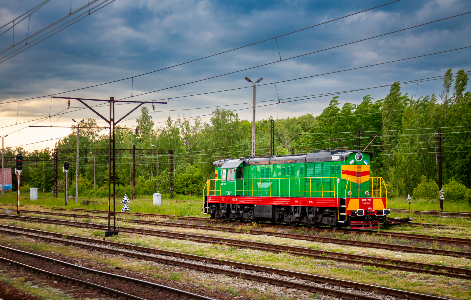 Papuga w z okna Sudetów