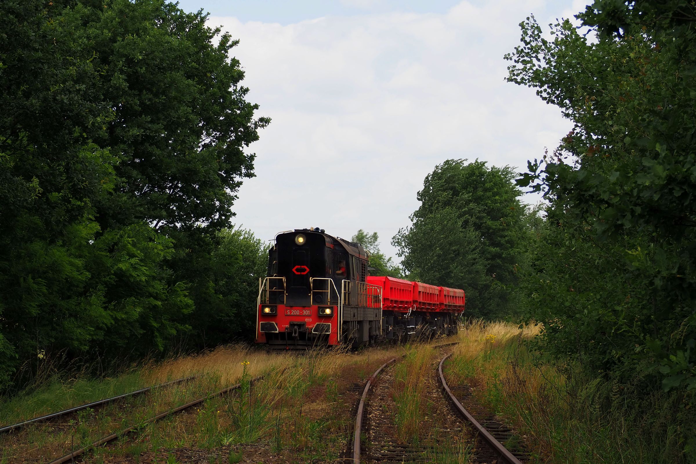 Po zarośniętym szlaku