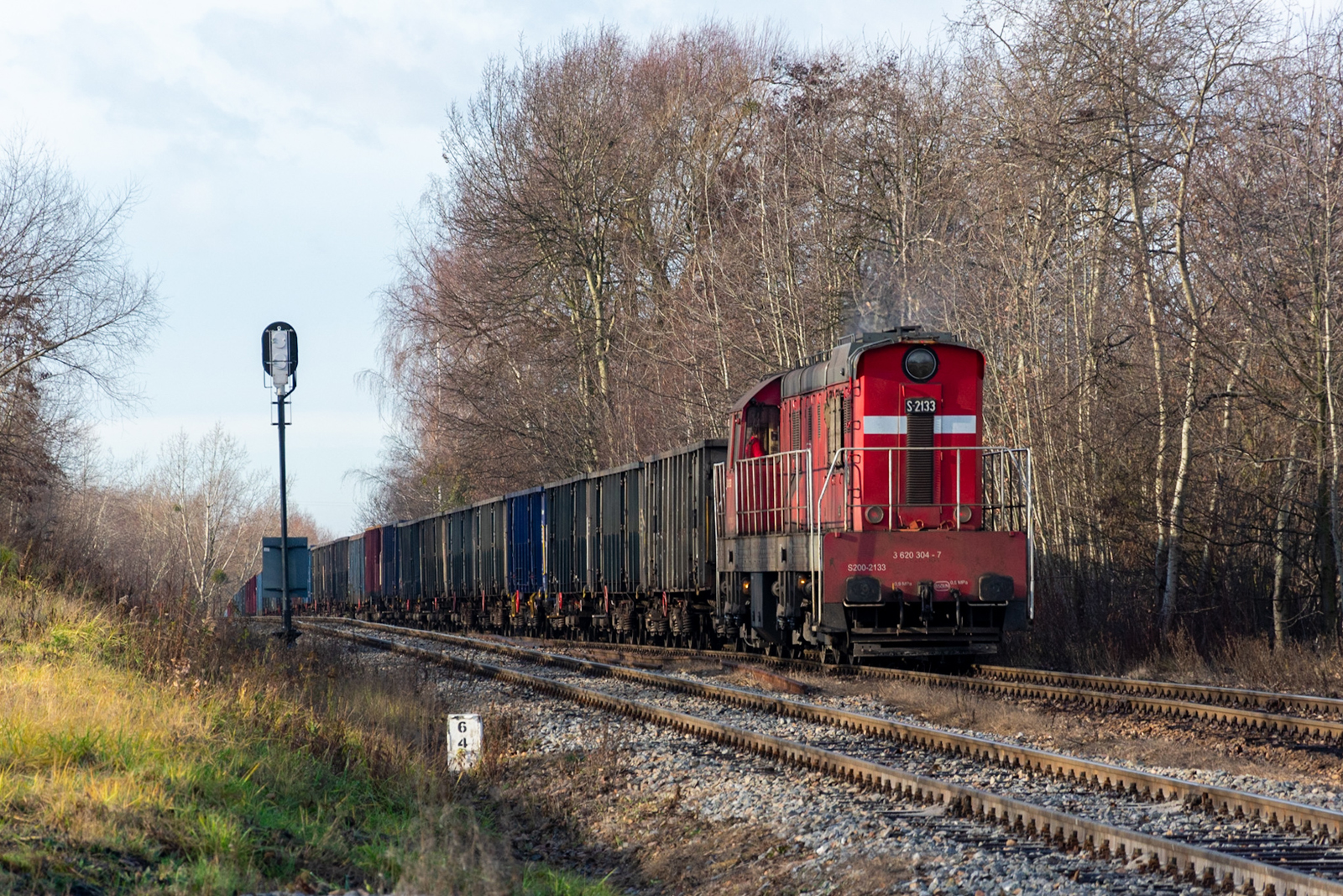 Ostatki Trzmieli w DB