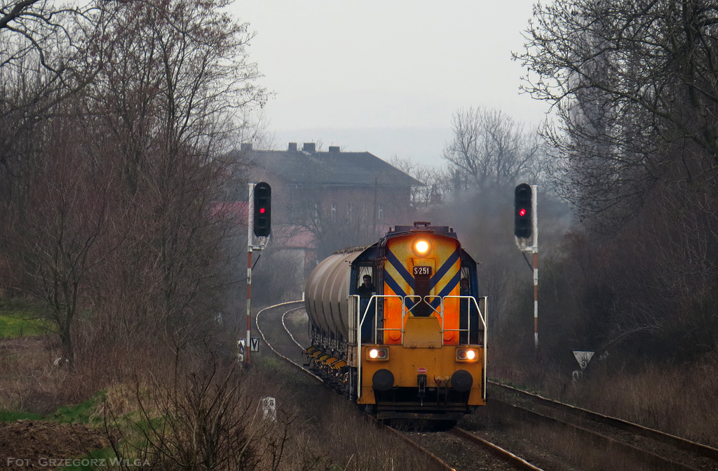 S251 w Racławicach Śląskich