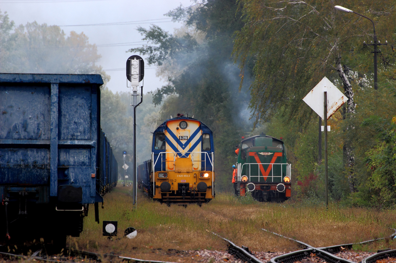 Kolorowa jesień na WMH