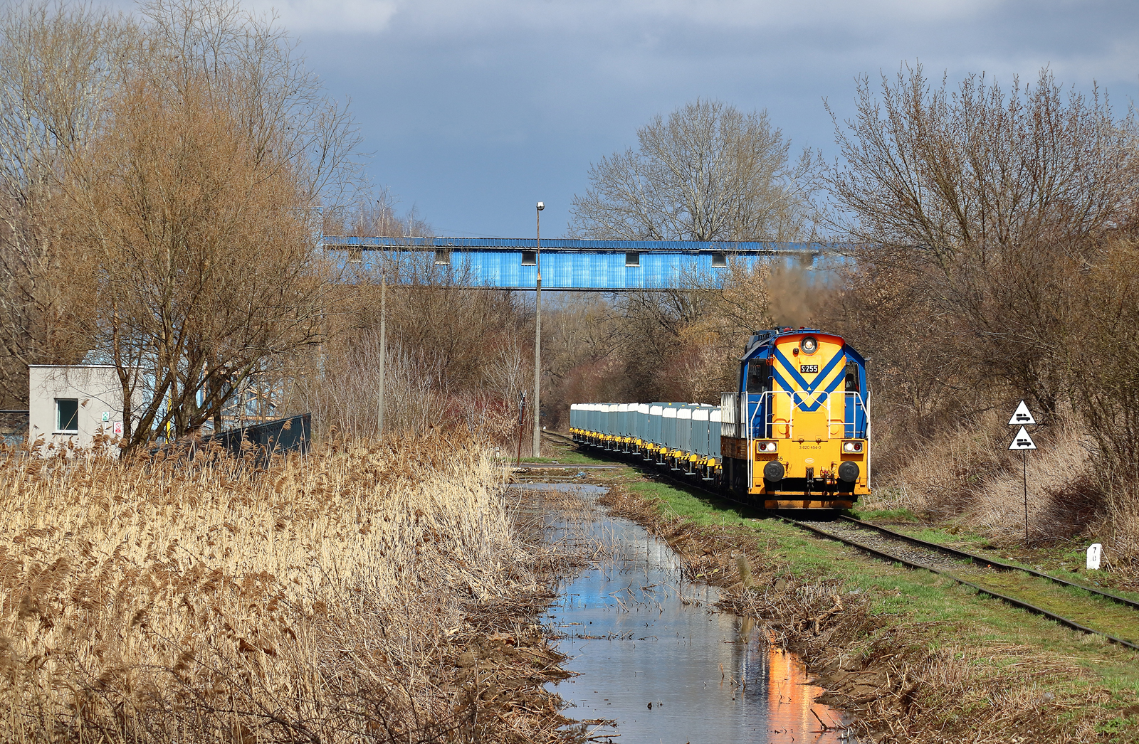 WMH ... góra, bagno i las ... :)