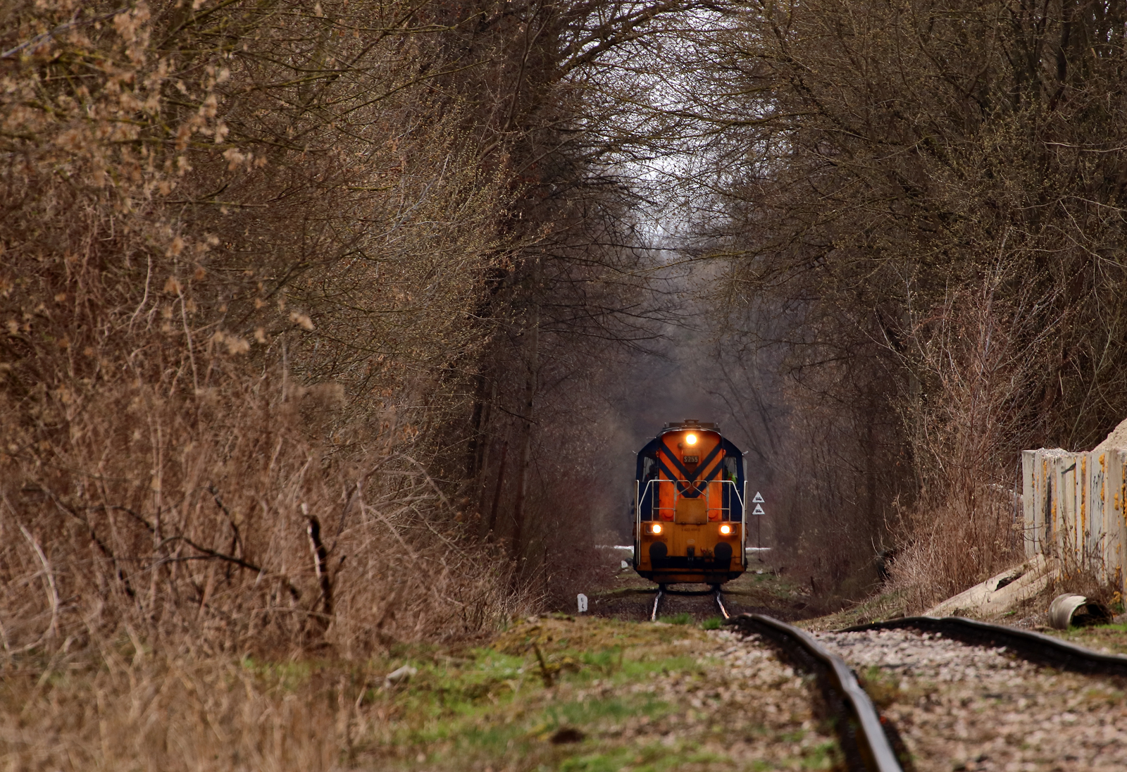 Niewiosna na WMH ...