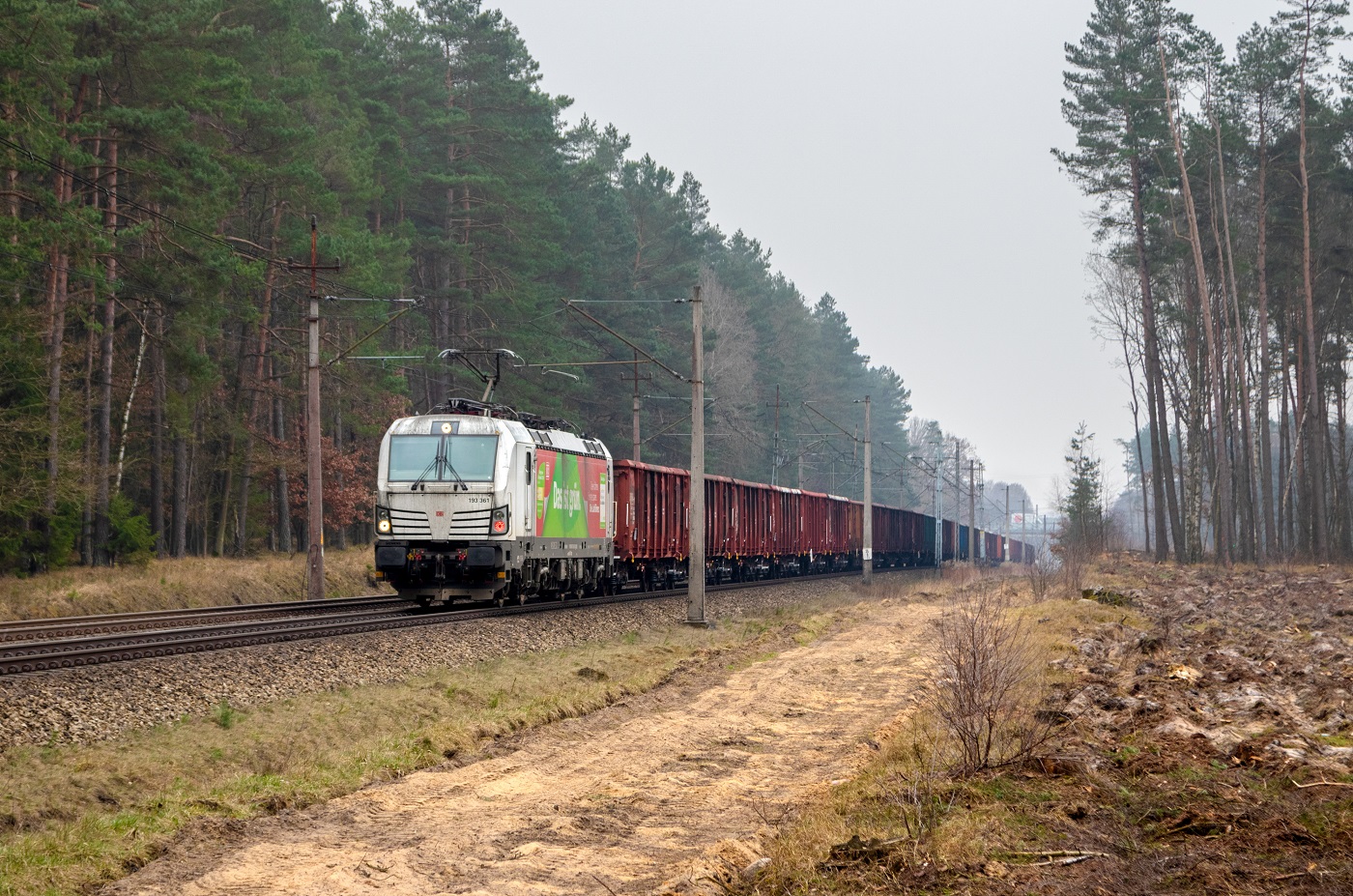 Grün do Świnoujścia