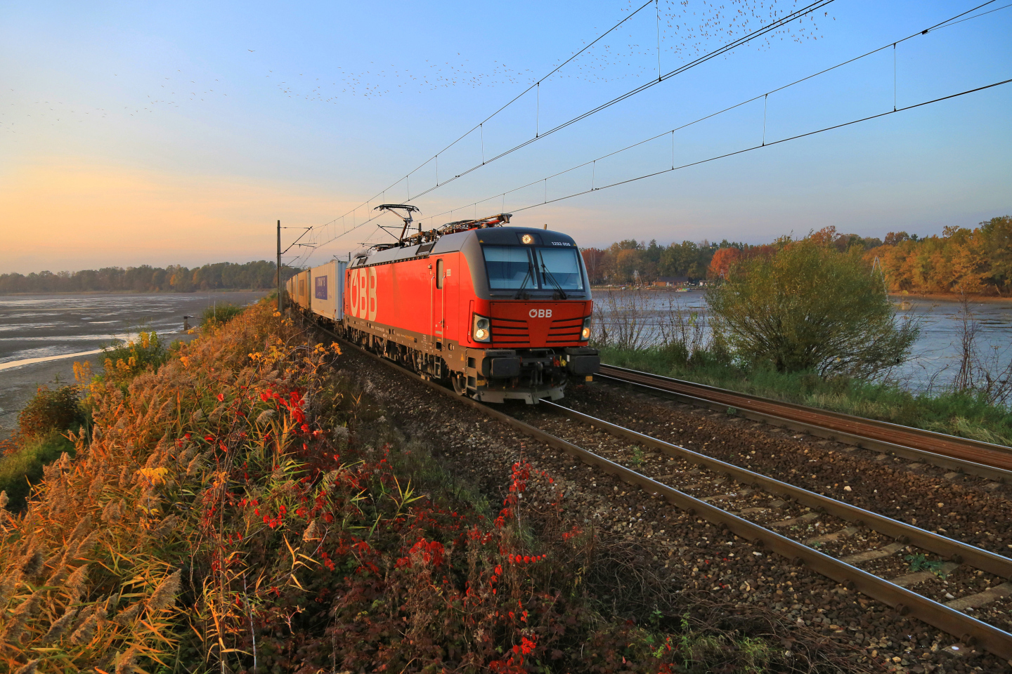Ostatnie odloty ptaków...