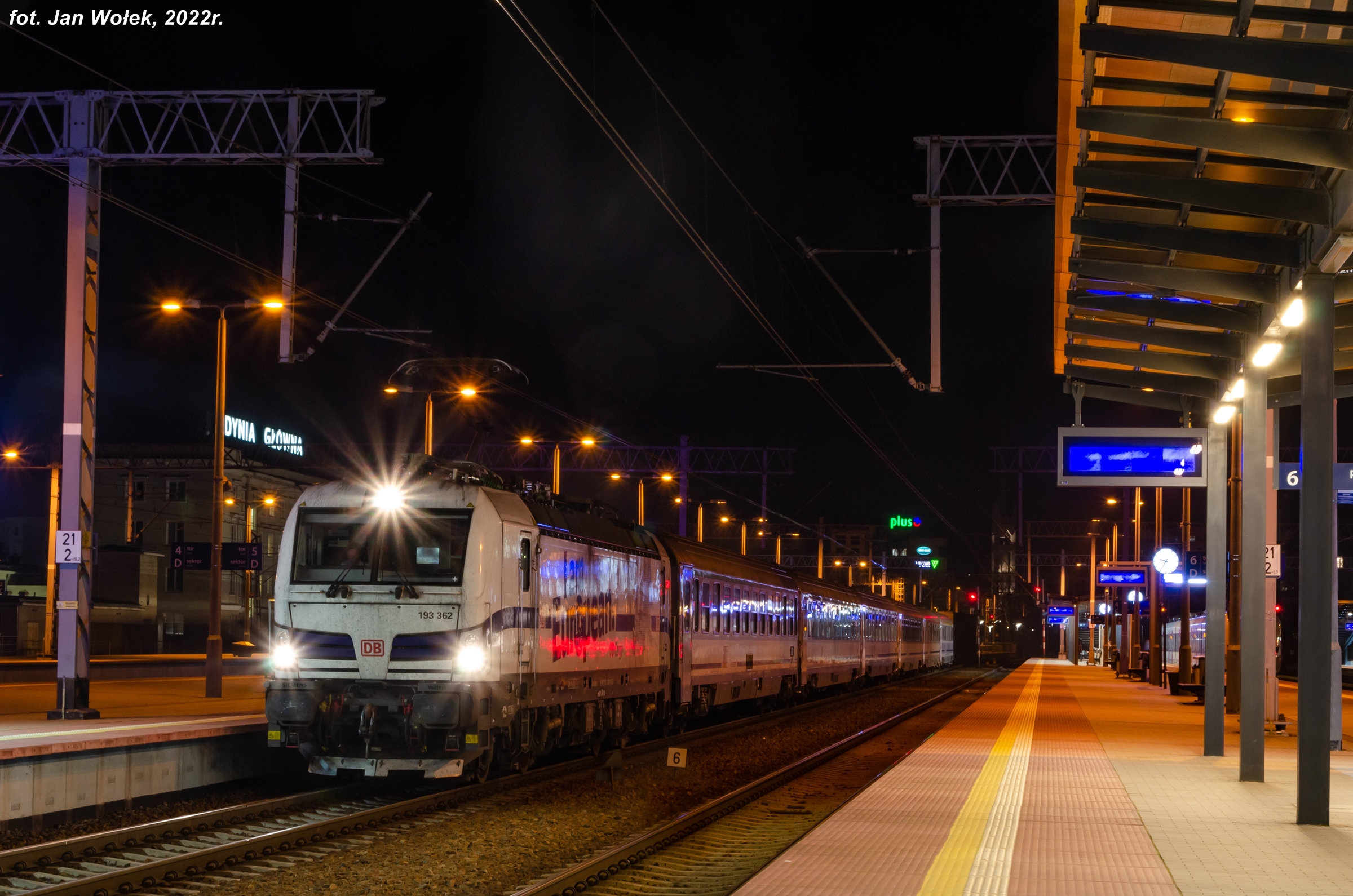 Europejczyk w Gdyni.