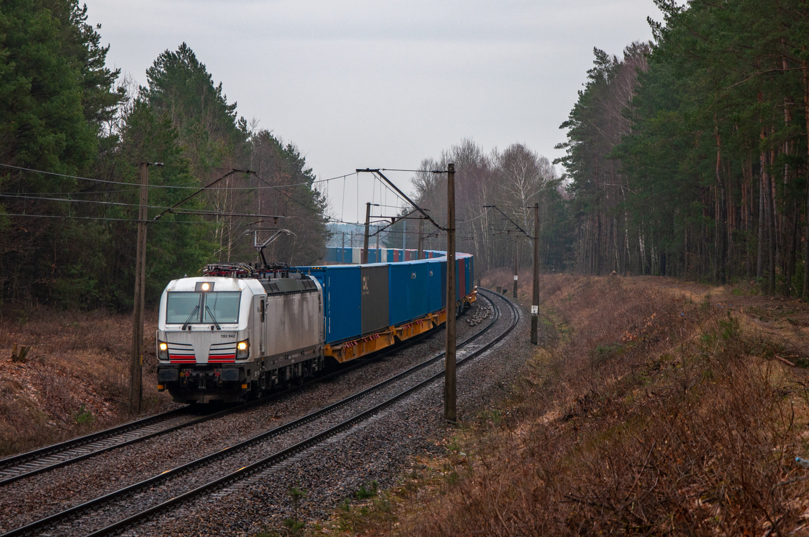 Niespodziewany gość na eSeŁce