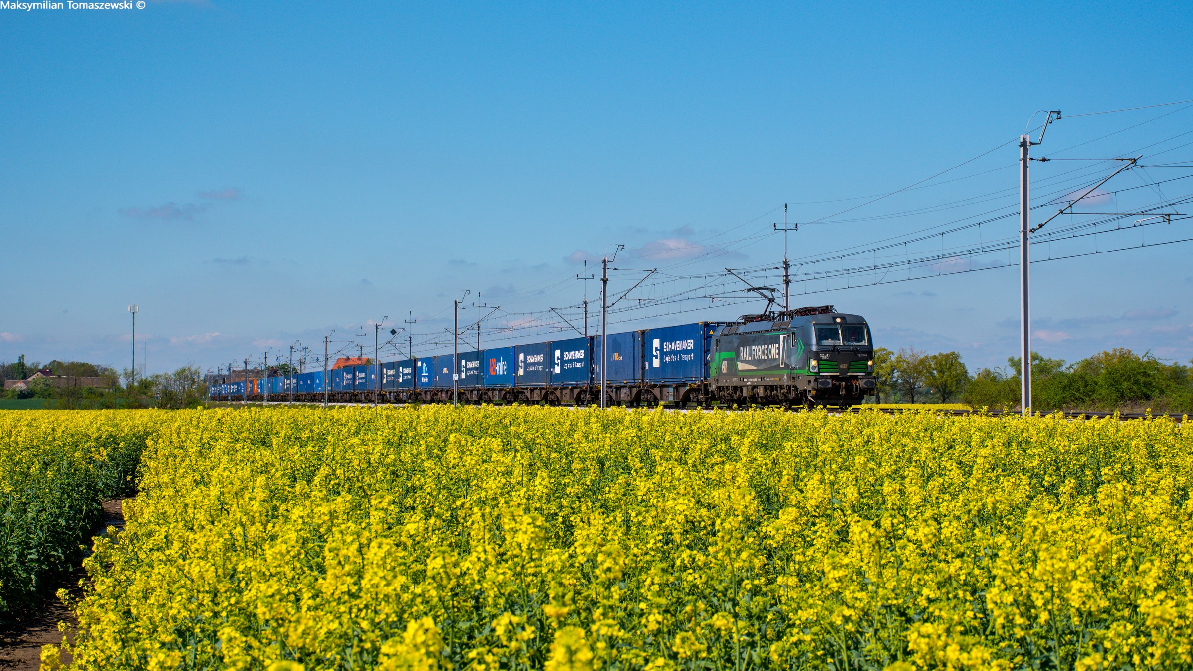 Koncertowy Vectron w morzu rzepaku