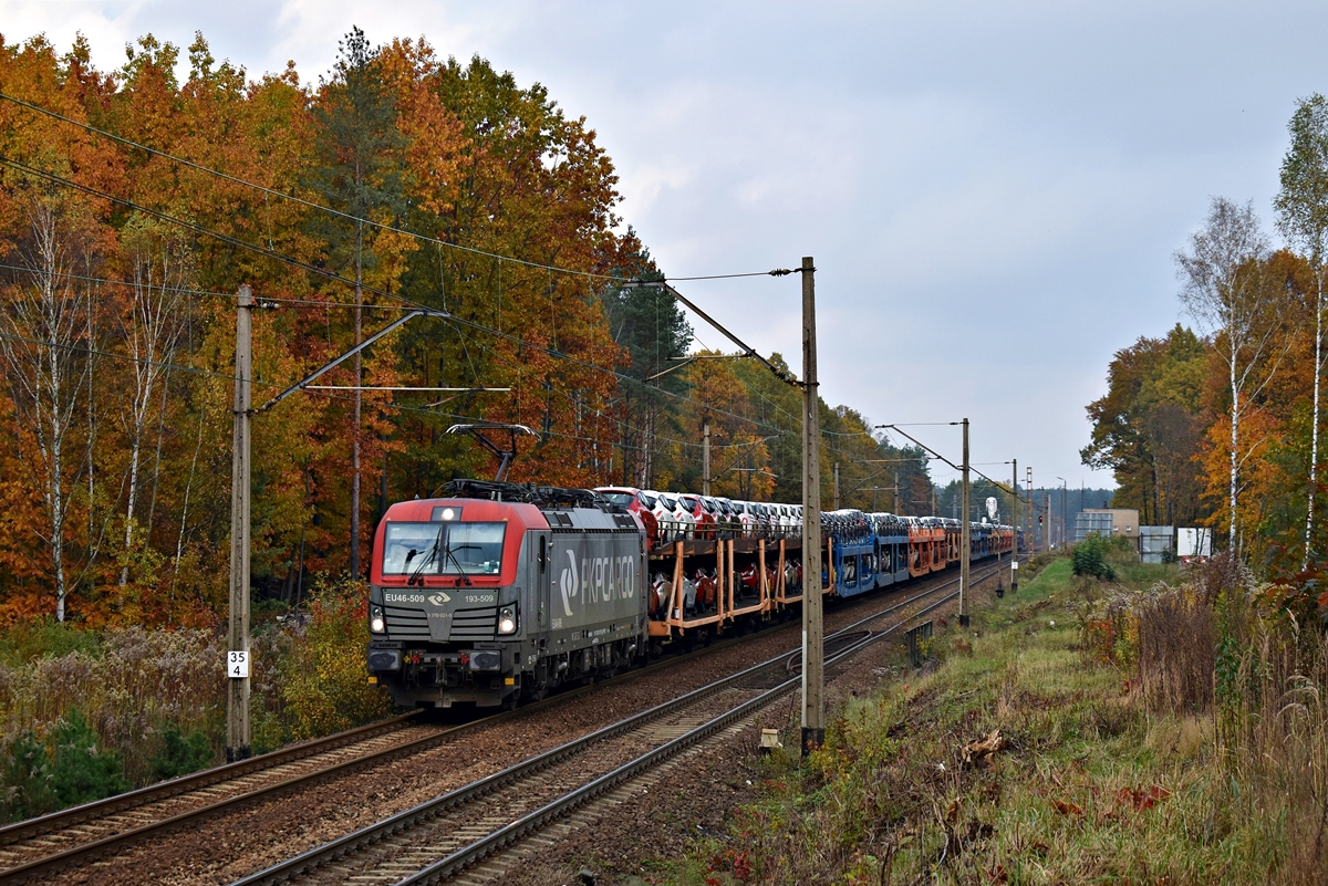 EU46-509