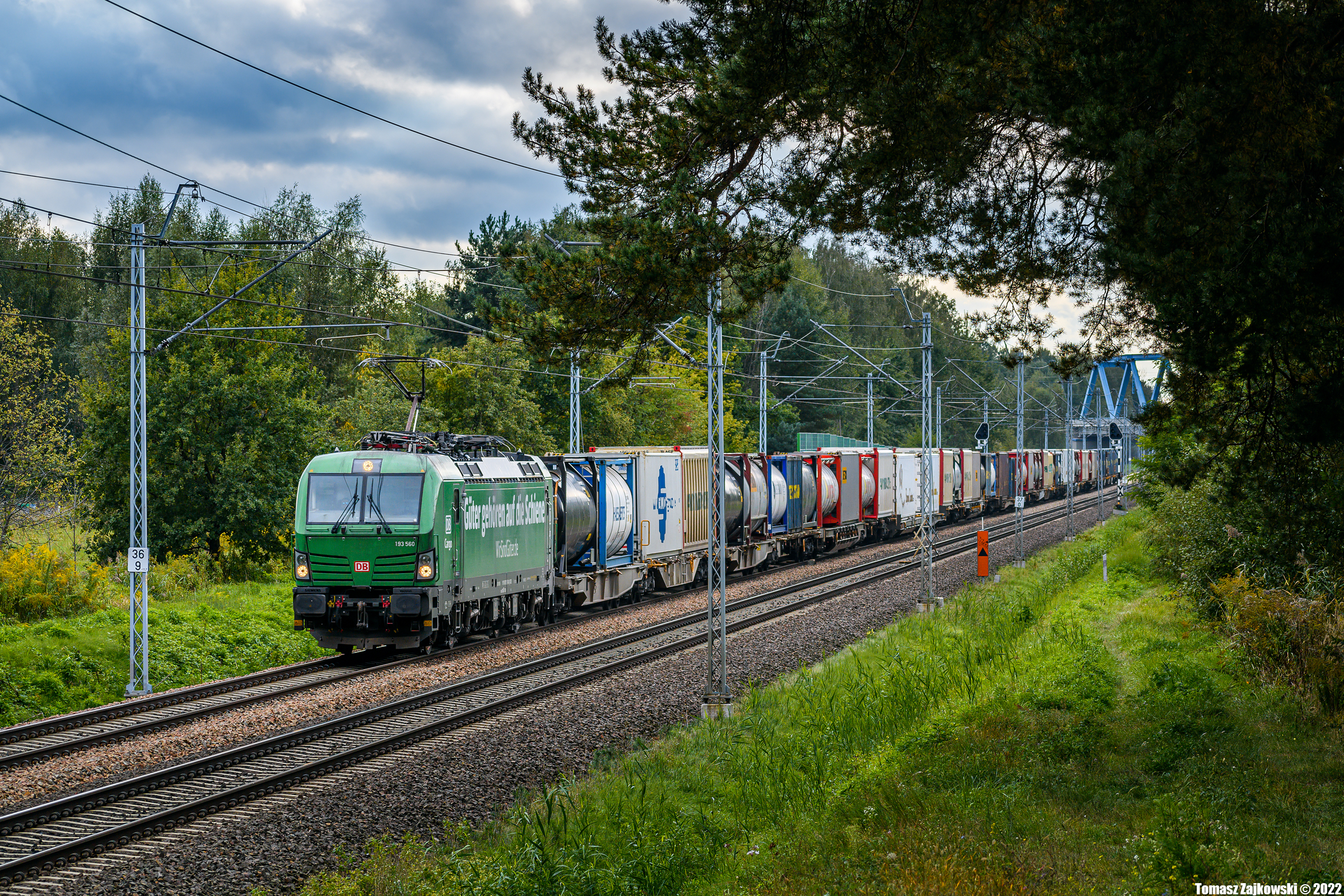 Zielone w zastępstwie zielonego