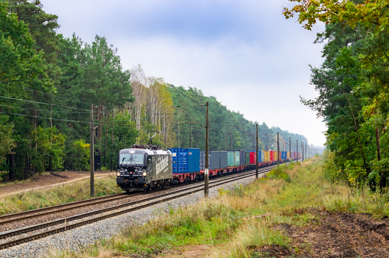 I am the backbone of the economy