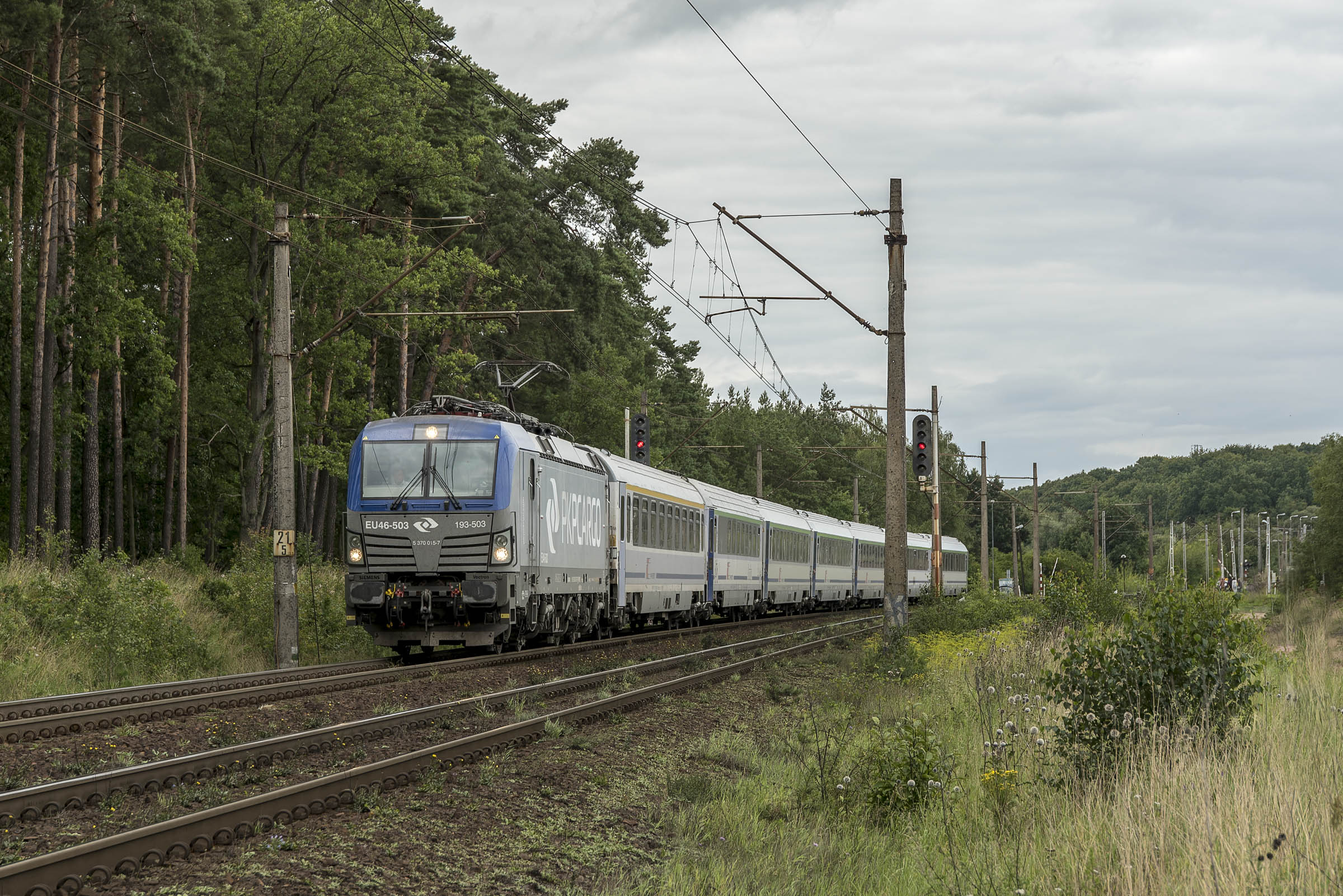 Nadmorskie Vectronowanie