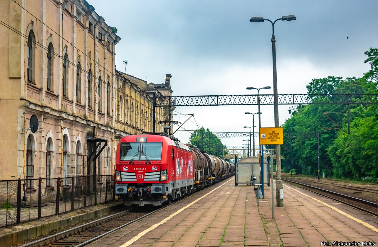 Sztywniak z Włocławka Brzezie.