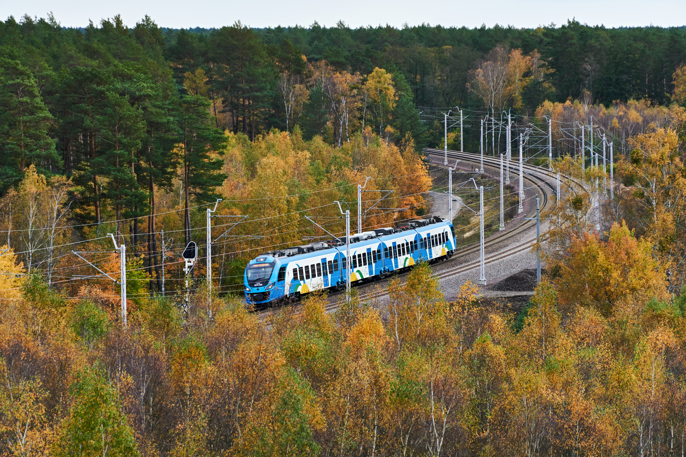 Jesień w Puszczy Noteckiej