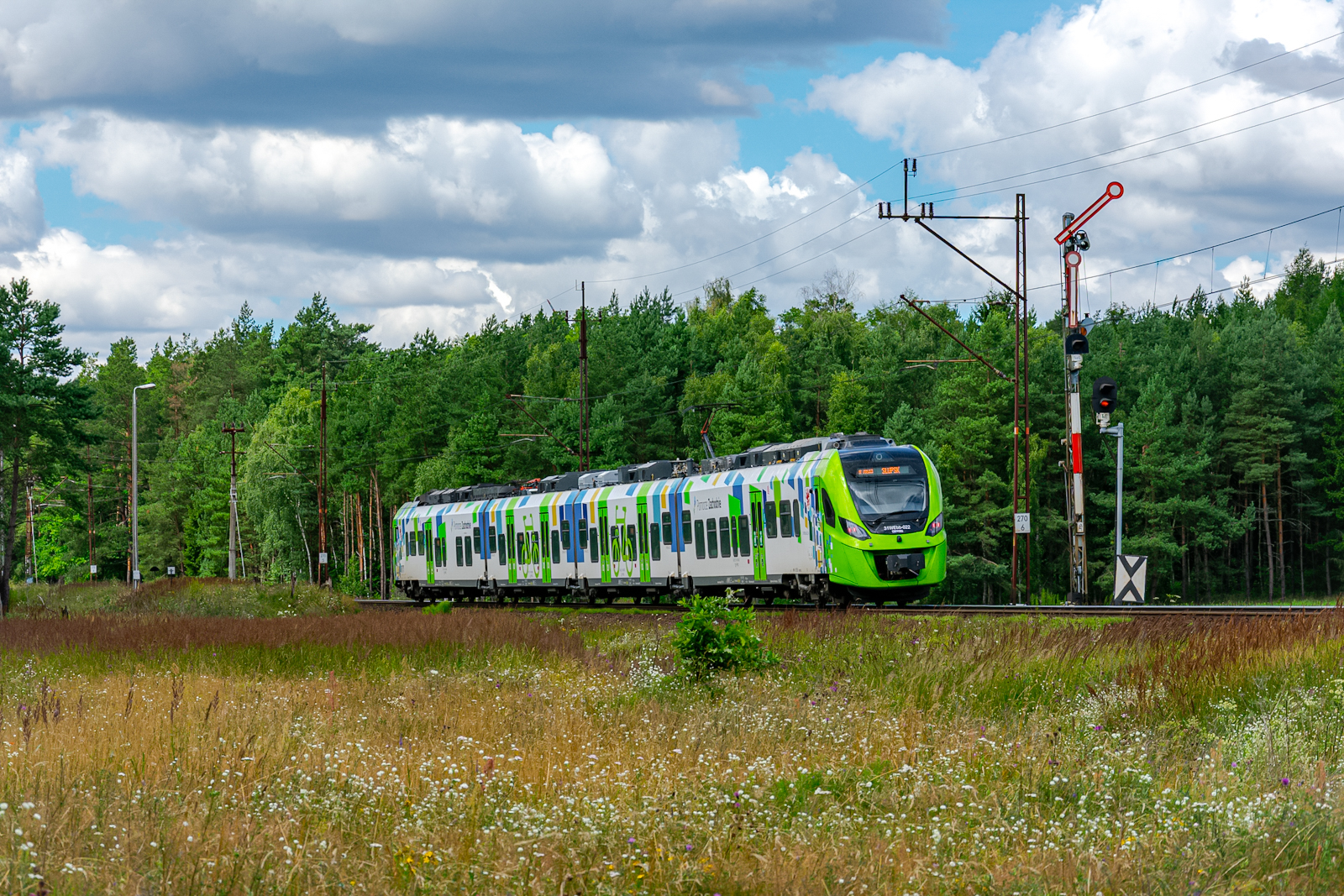 Regalica pod kształtem